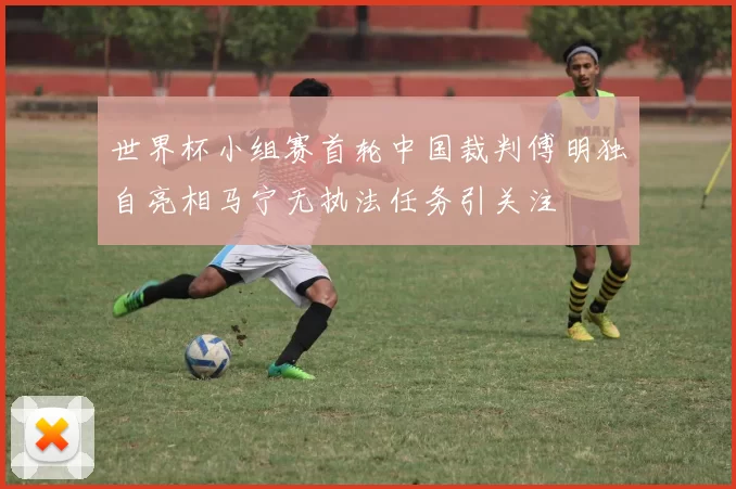世界杯小组赛首轮中国裁判傅明独自亮相马宁无执法任务引关注