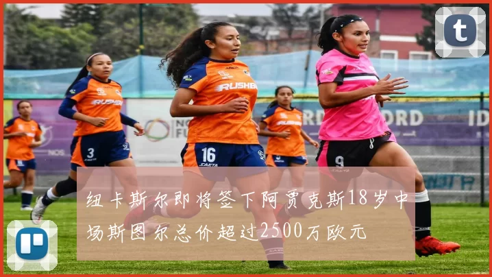纽卡斯尔即将签下阿贾克斯18岁中场斯图尔总价超过2500万欧元