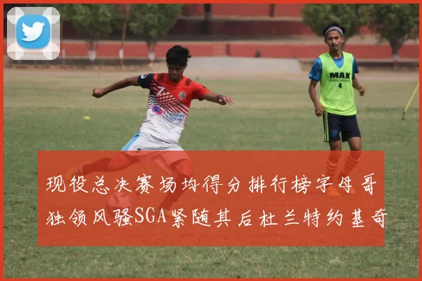 现役总决赛场均得分排行榜字母哥独领风骚SGA紧随其后杜兰特约基奇东契奇争夺第三